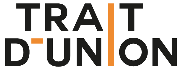 logo t-dunion